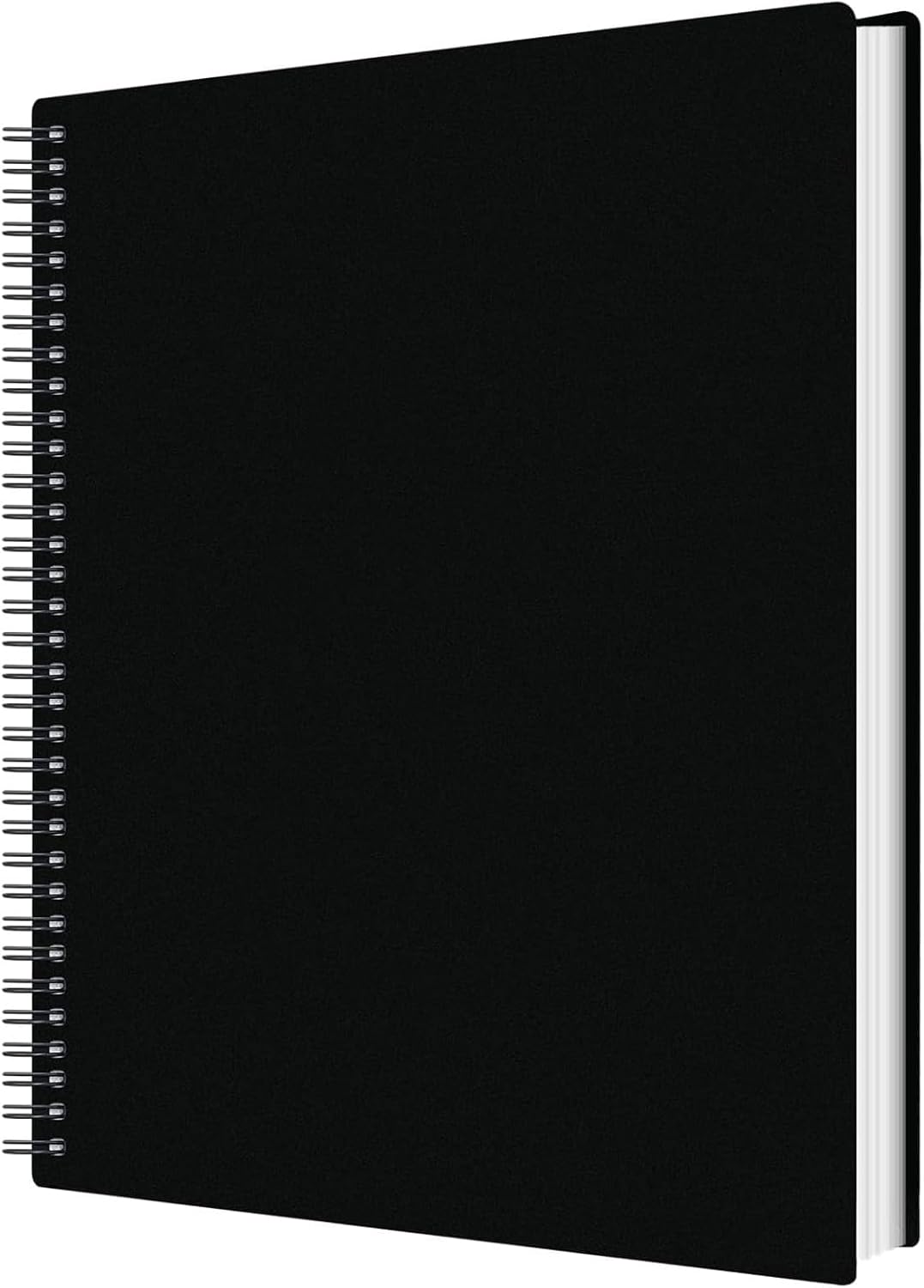 50-Pocket Portfolio Binder